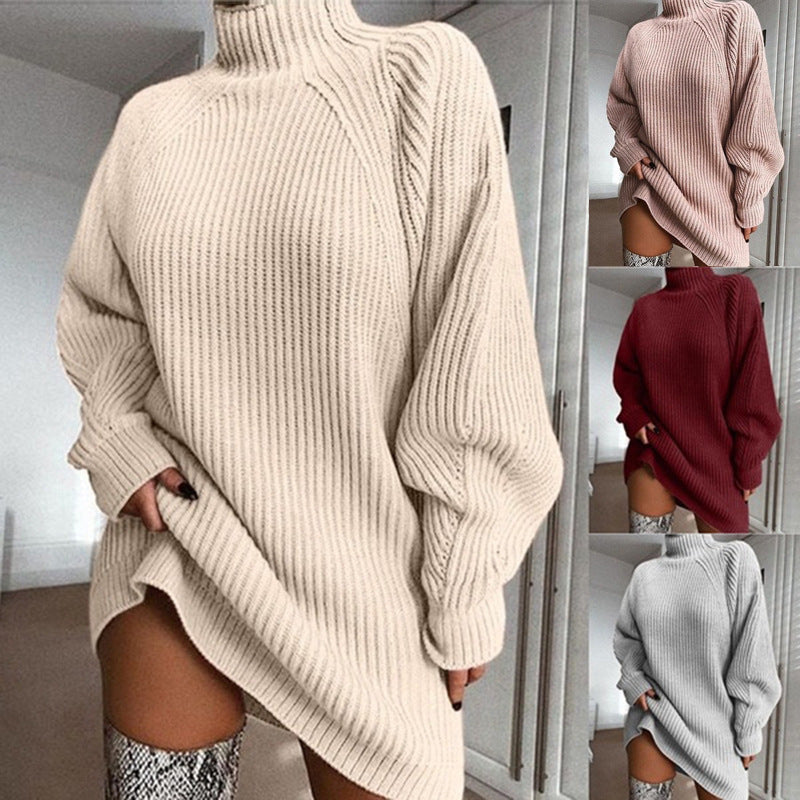 Solid Turtleneck Long Sweater Winter Warm Women Sweater Dress Dreamardi